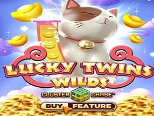 Lucky Twins Wilds game screenshot